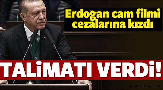 Erdoğan cam filmi cezalarına kızdı! Talimatı verdi