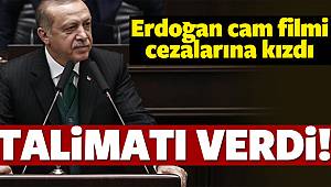 Erdoğan cam filmi cezalarına kızdı! Talimatı verdi