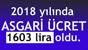 2018 yılı asgari ücreti belli oldu