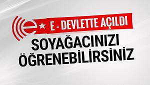 E-Devlet soyağacı sorgulama