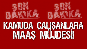 Kamuda çalışanları Maaşları 13 Haziran da