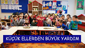 Küçük Ellerden Büyük Yardım