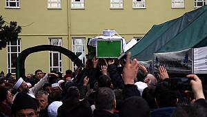 Asırlık çınar son yolcuğuna uğurlandı 