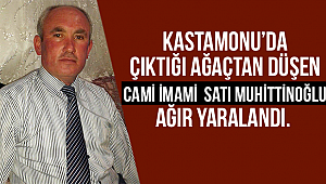 Ağaçtan düşen imam ağır yaralandı