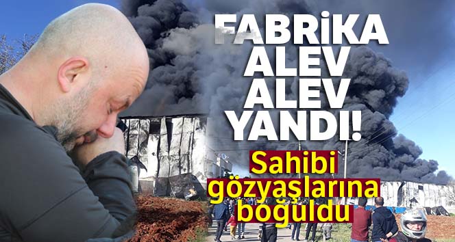 Antalya’da fabrika alev alev yandı! Sahibi gözyaşlarına boğuldu