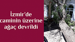 İzmir’de caminin üzerine ağaç devrildi