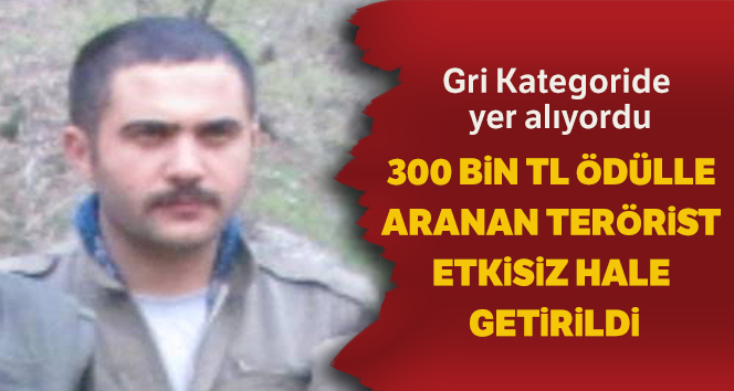 300 bin tl ödülle aranan terörist etkisiz hale getirildi