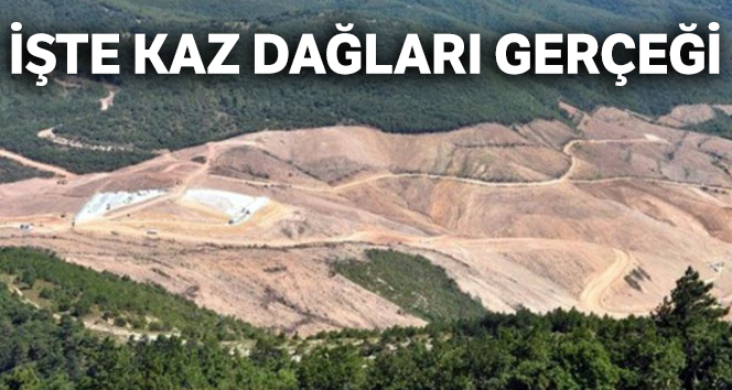 İşte Kaz Dağları gerçeği