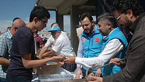 Türk Diyanet Vakfından aşure ikramı