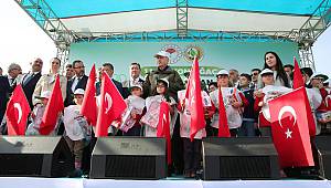 11 milyon fidan toprakla buluşuyor