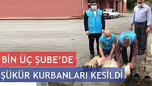 Bin Üç Şubede Şükür Kurbanları Kesildi 