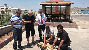 Kayseri’de Ayasofya için kurban kesildi