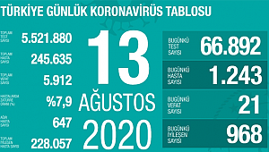 Türkiye'de son 24 saatte 1.243 kişiye koronavirüs tanısı konuldu