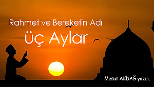 Üç Aylar