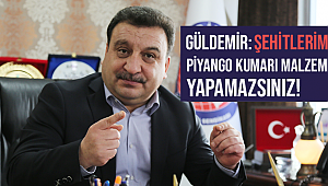 Güldemir: Şehitlerimizi Piyango Kumarı Malzemesi Yapamazsınız!