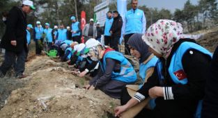 Mersin Tarsus’ta 115 bin fidan dikildi.