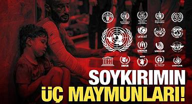 UNICEF, WHO, IEA, WFP, UNIFEM nerede?