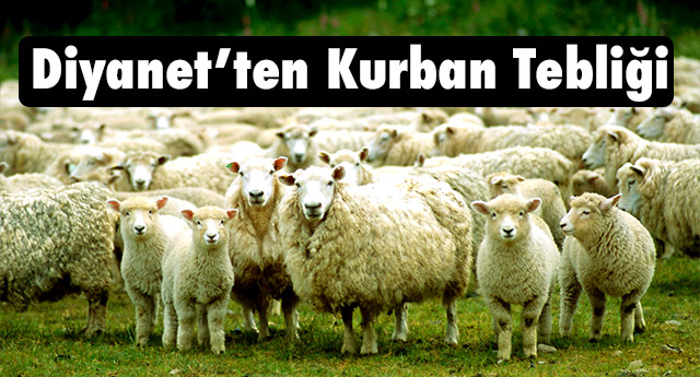 Diyanet’ten Kurban Tebliği