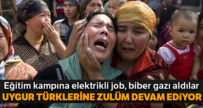 Çin’in Uygur Türklerine zulmü devam ediyor