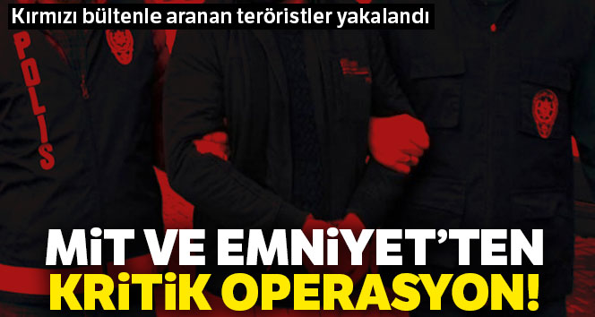 MİT ve TEM'den ortak DEAŞ operasyonu