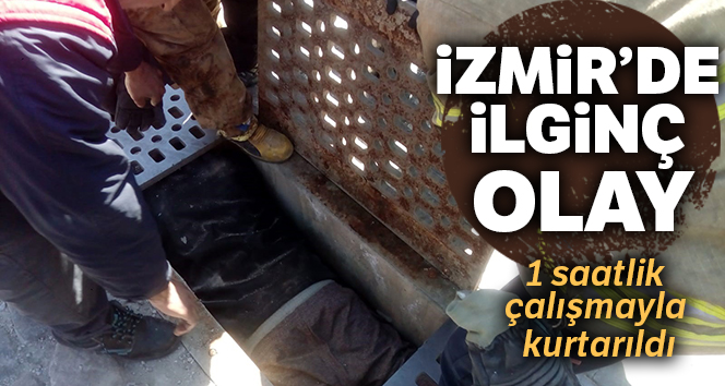 Mazgala sıkışan adam için itfaiye seferber oldu