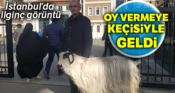 Oy vermeye keçisiyle geldi