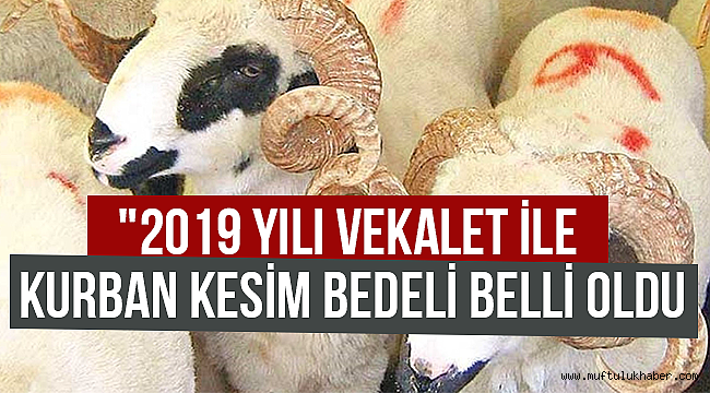 TDV den Online Kurban  Mobil bağış uygulaması