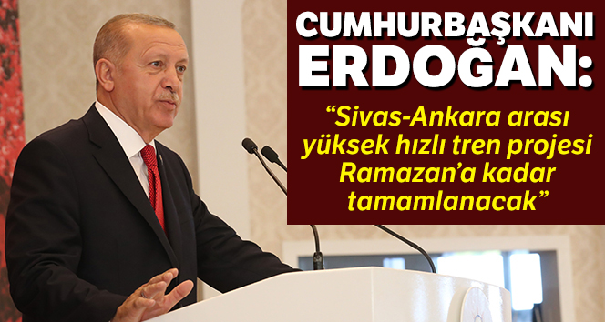 Cumhurbaşkanı Erdoğan’dan Bakan Turhan'a YHT talimatı