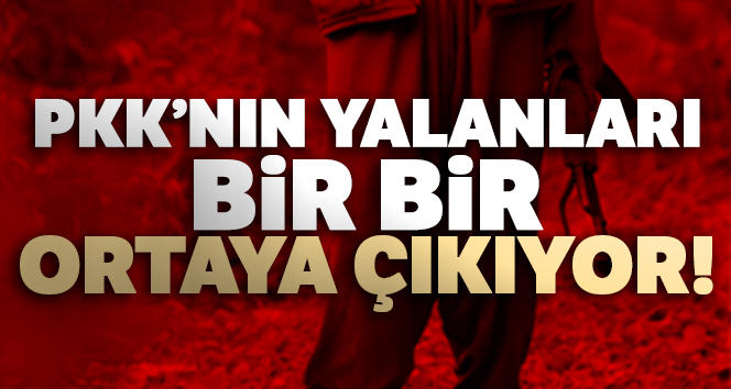 PKK'nın yangın yalanı ortaya çıktı