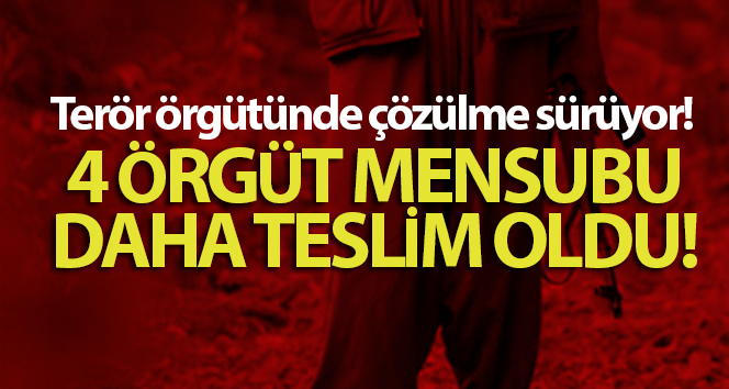 Emniyet ve jandarmanın  ikna çalışması sonucu 4 örgüt mensubu daha teslim oldu