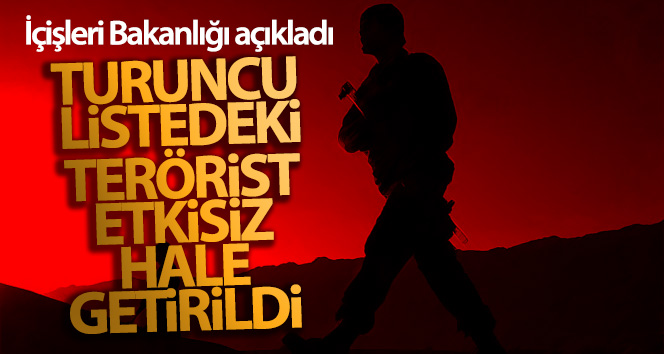İçişleri Bakanlığı: 'Tunceli’de Turuncu Liste’de aranan terörist etkisiz hale getirildi'