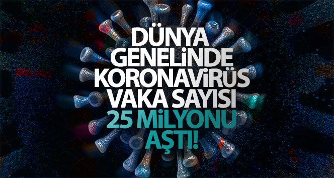 Dünya genelinde korona virüs vaka sayısı 25 milyonu aştı
