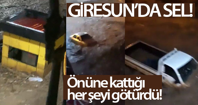 Giresun'da sel suları önüne kattığını sürükleyerek götürdü