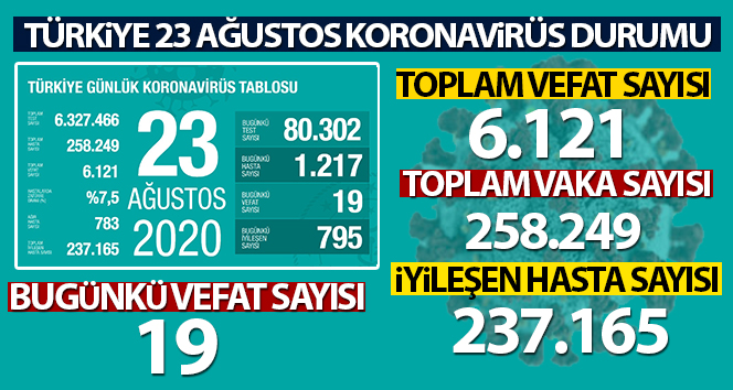 Türkiye'de son 24 saatte 1.217 kişiye koronavirüs tanısı konuldu, 19 kişi hayatını kaybetti