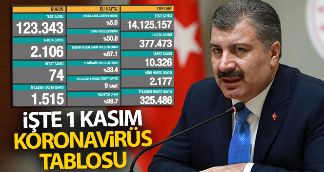 Türkiye’de son 24 saatte 2106 kişiye Kovid-19 hastalık tanısı konuldu, 74 kişi hayatını kaybetti