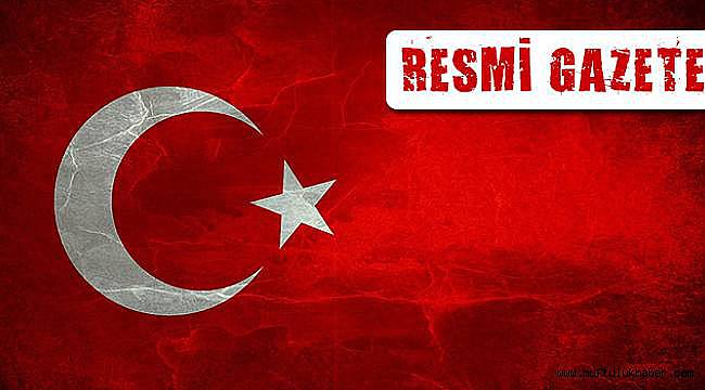 31 Ocak 2021 Tarihli ve 31381 Sayılı Resmi Gazete