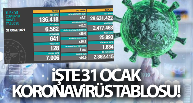 31 Ocak 2021  Korona virüs tablosu