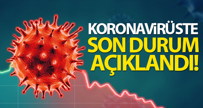 Türkiye’de son 24 saatte 7.550 koronavirüs vakası tespit edildi