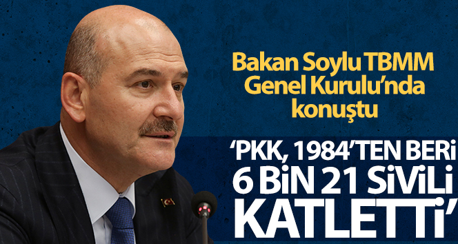 İçişleri Bakanı Soylu: PKK, 1984'ten beri 6 bin 21 sivili katletti'