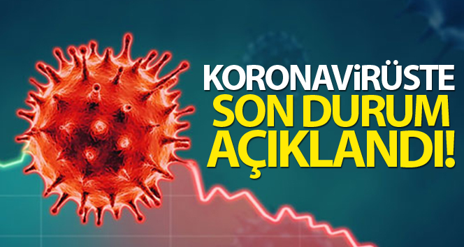 24.02.2021 Tarihli koronavirüs vaka sayısı