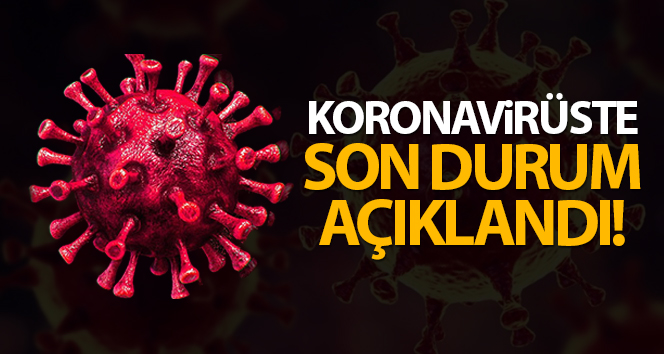 Türkiye’de son 24 saatte 7.241 koronavirüs vakası tespit edildi
