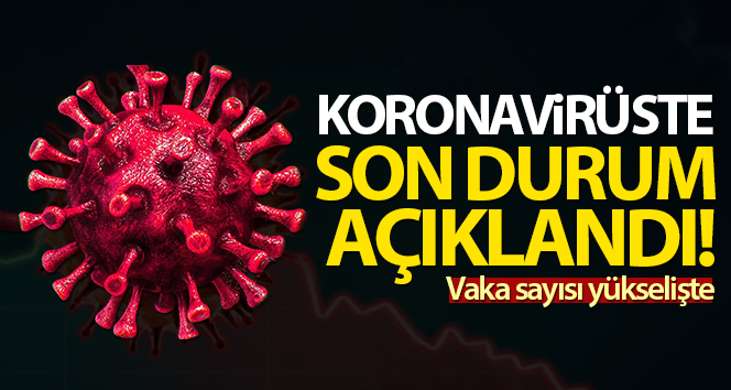 02.02.2021  Korona virüs tablosu