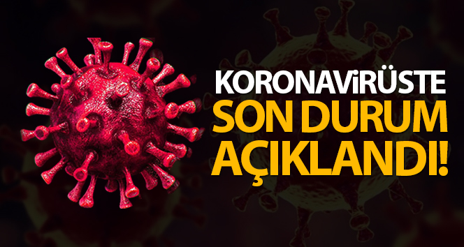 Türkiye'de son 24 saatte 8.642 koronavirüs vakası tespit edildi