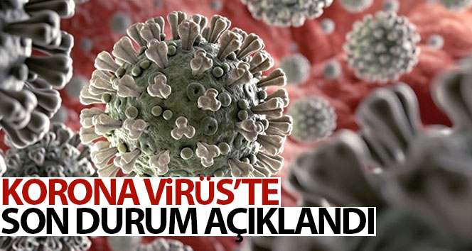 14 Şubat 2021  Koronavirüs Tablosu