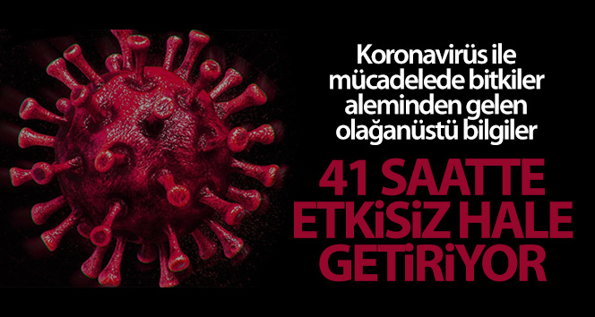 Korana virüsüne karşı kritik çözüm: 41 saatte etkisiz hale getiriyor