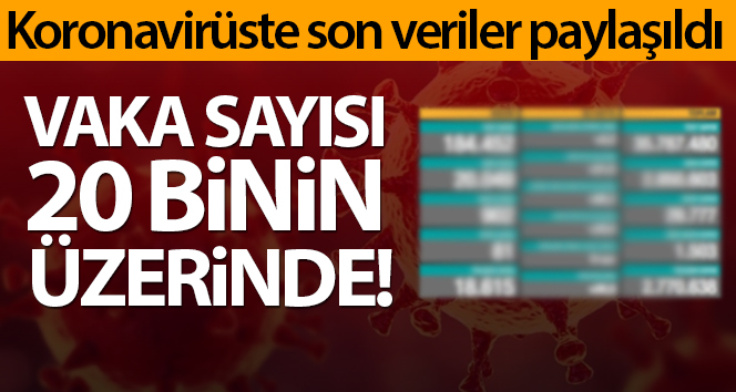 Türkiye'de son 24 saatte 20.049 koronavirüs vakası tespit edildi