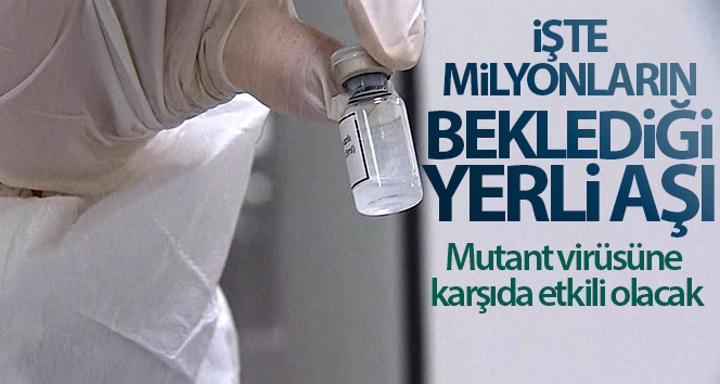 İşte milyonların beklediği yerli aşı