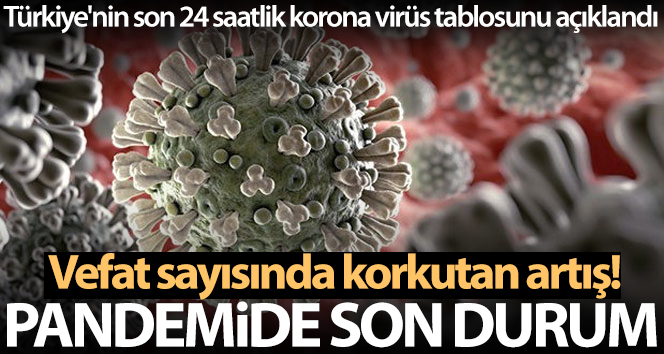 Sağlık Bakanlığı, Türkiye'nin son 24 saatlik korona virüs tablosunu açıkladı