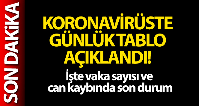 Türkiye'de son 24 saatte 22.388 koronavirüs vakası tespit edildi