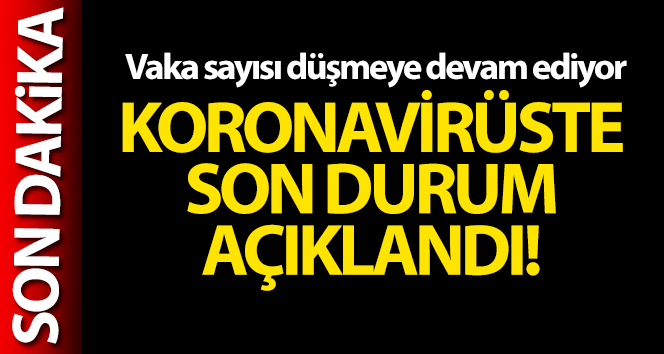 Türkiye'de son 24 saatte 24.733 koronavirüs vakası tespit edildi